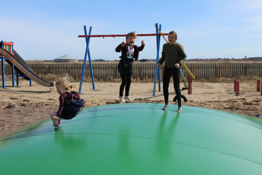 Bouncy pillow